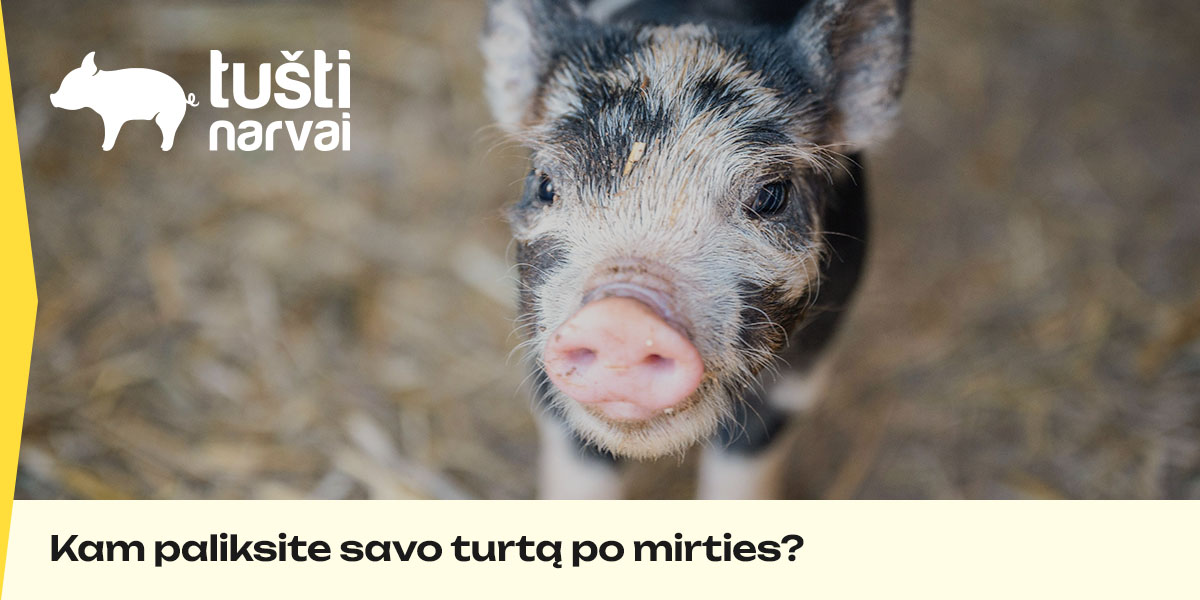 tustinarvai_veikla